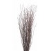 BIRCH BRANCHES 3'-4' (BULK) Natural (  New Pack)